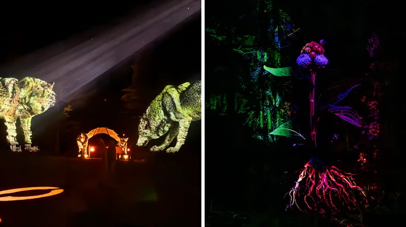 Le parc oméga a ouvert un parcours illuminé à découvrir sous les étoiles près de montréal