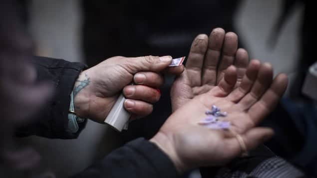 Le nombre de surdoses mortelles en baisse au canada
