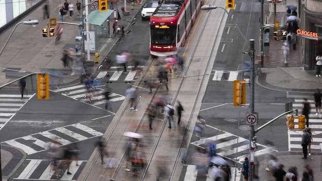 Des arbres, ou du béton? toronto veut les deux, mais...