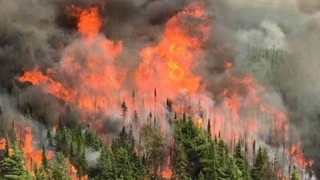 Que signifie la forte hausse des feux de forêt en ontario cette année?