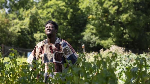 L’agriculteur qui fait pousser l’afrique au québec