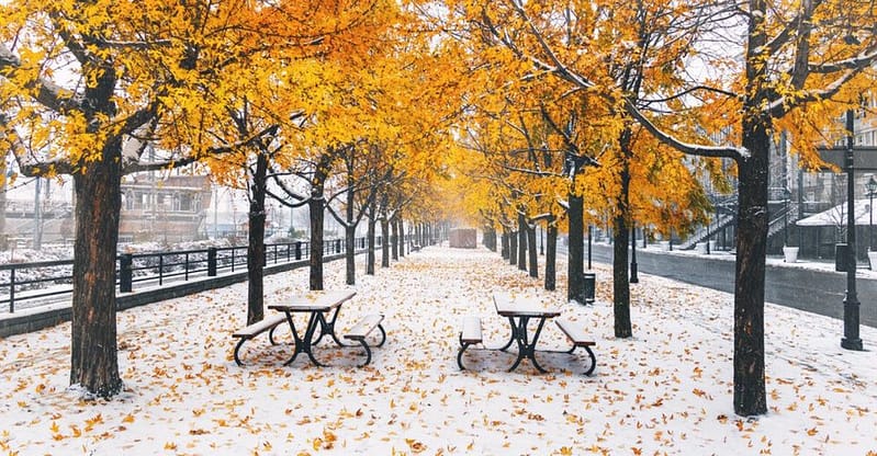 Quebec's october weather forecast warns of an extra chilly month (and when snow could hit)