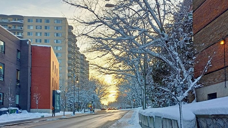 This fall forecast for quebec reveals when you can expect snow and cooler temperatures