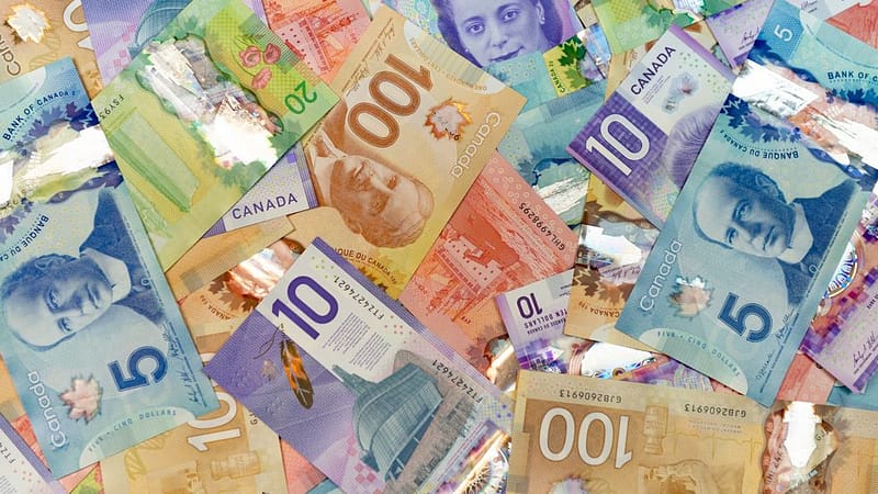 6 prestations que les célibataires du québec peuvent recevoir ce mois ci