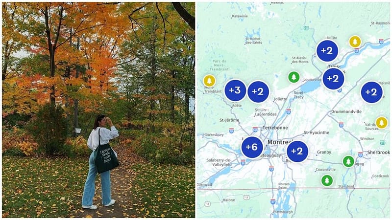 This fall foliage map shows exactly when & where to catch peak colours in montreal