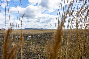 Possibles Assouplissements Aux Exigences Environnementales | Québec Doit Garder Le Cap, Plaident Des Experts