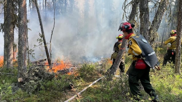 L’alberta Se Prépare Déjà à La Saison Des Feux De Forêt