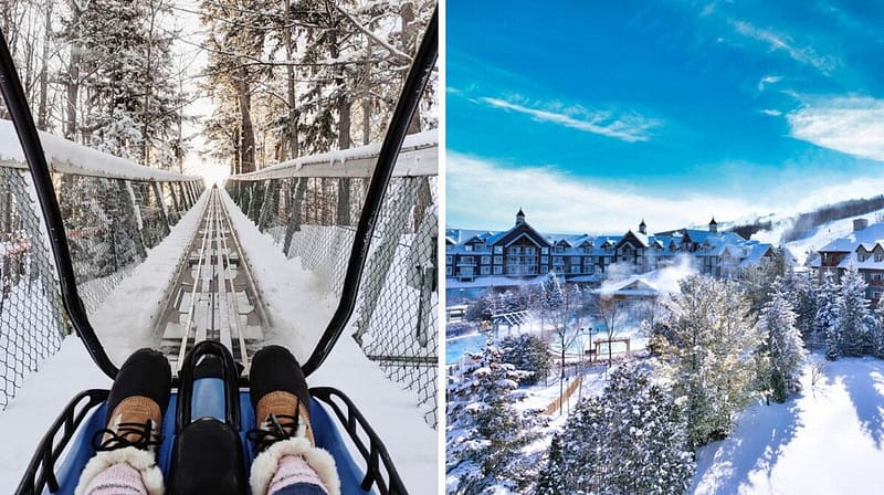 I Rode Ontario's Mountain Coaster Through A Snowy Forest And It Was The Best Winter Adventure