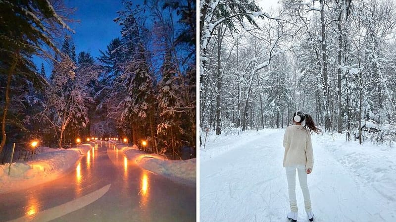 Ontario's Magical Torchlit Skating Trail Through A Frosty Forest Is Reopening So Soon