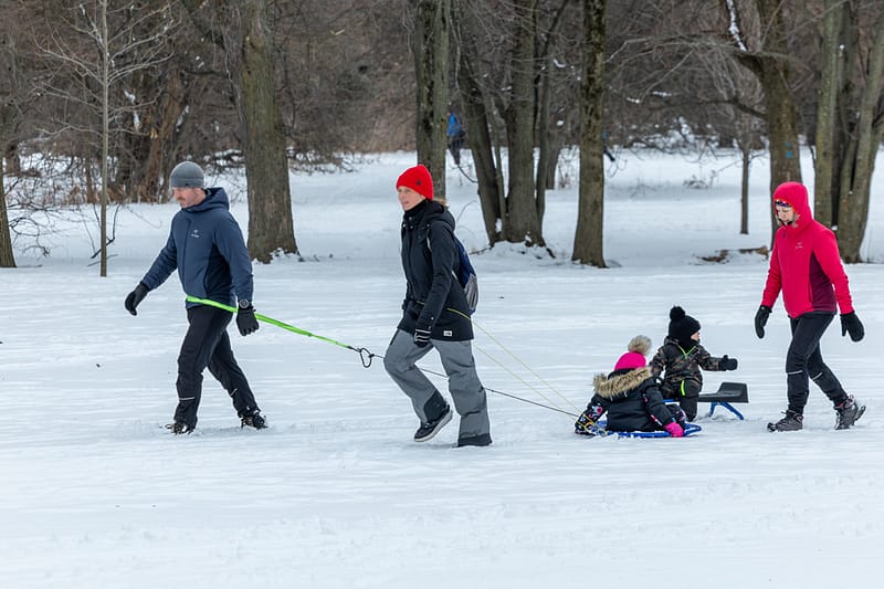 Des Parcs Bien Remplis Avant L’arrivée D’un Froid Polaire