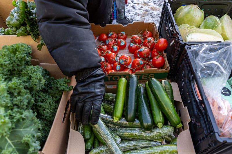 Comment Fonctionnent Les Banques Alimentaires ?