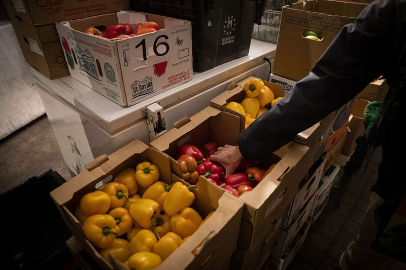 Insécurité Alimentaire Au Québec | La Demande D’aide Alimentaire Ne Fera Qu’augmenter