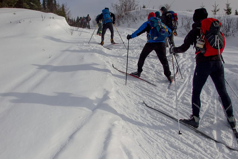 Changements Climatiques | Une Célèbre Randonnée à L’avenir Incertain En Gaspésie