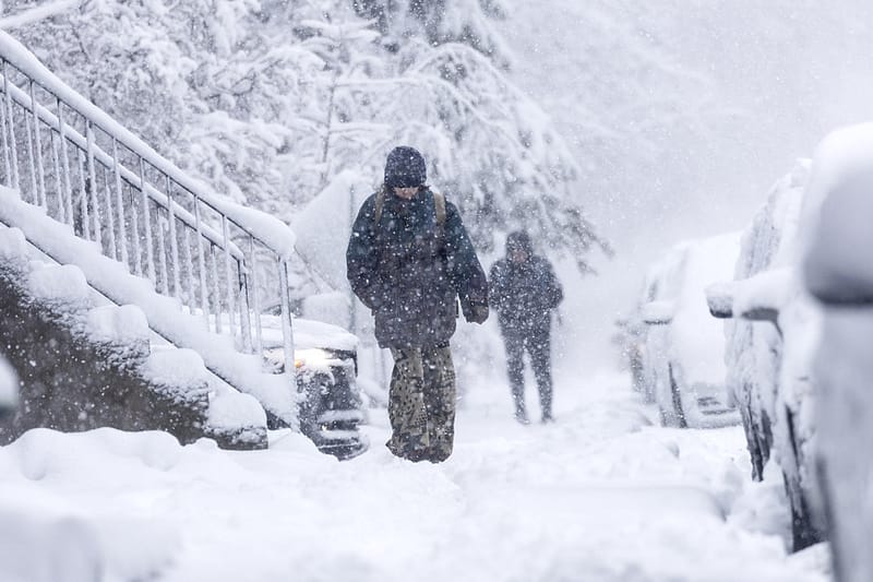 Comment Le Corps Lutte Contre Le Froid