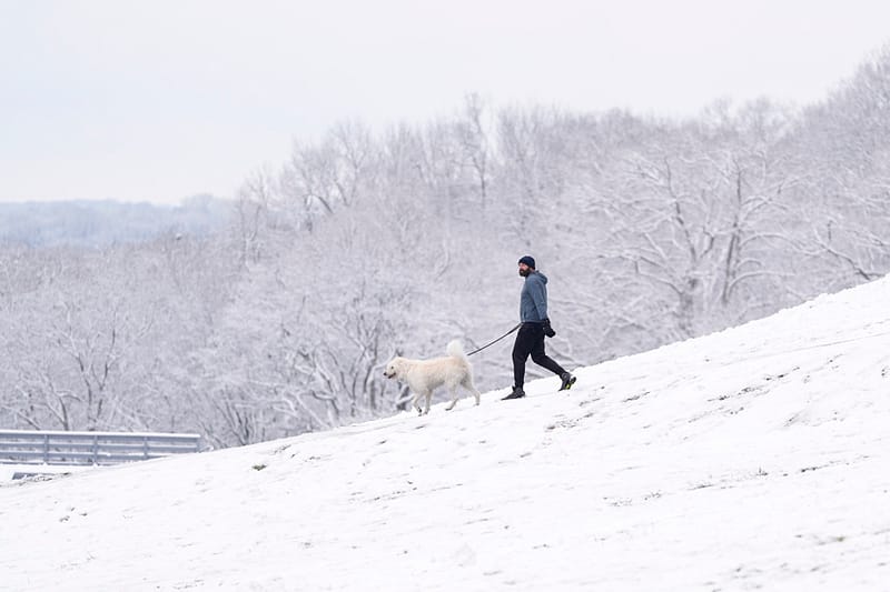 La Tempête Hivernale Maintient Son Emprise Glaciale Dans Le Sud Du Pays